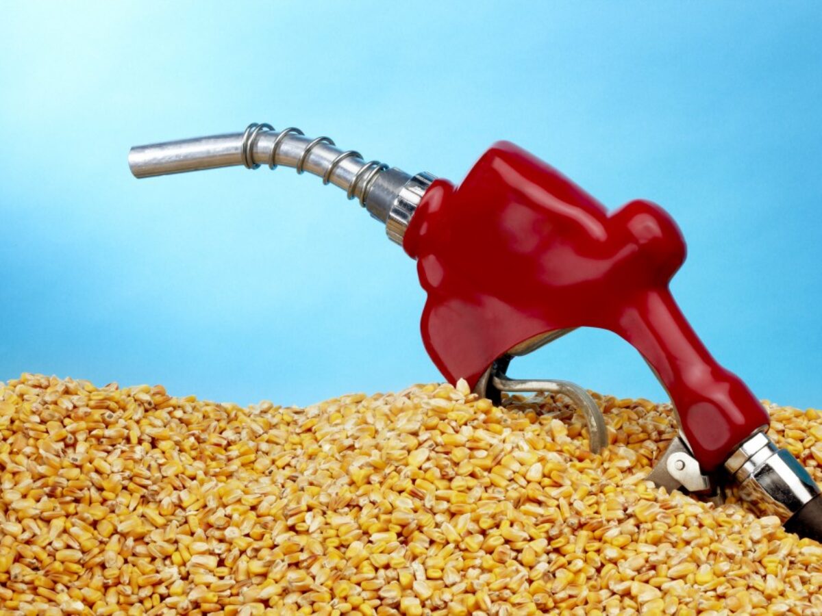 A red gas pump is on top of corn.