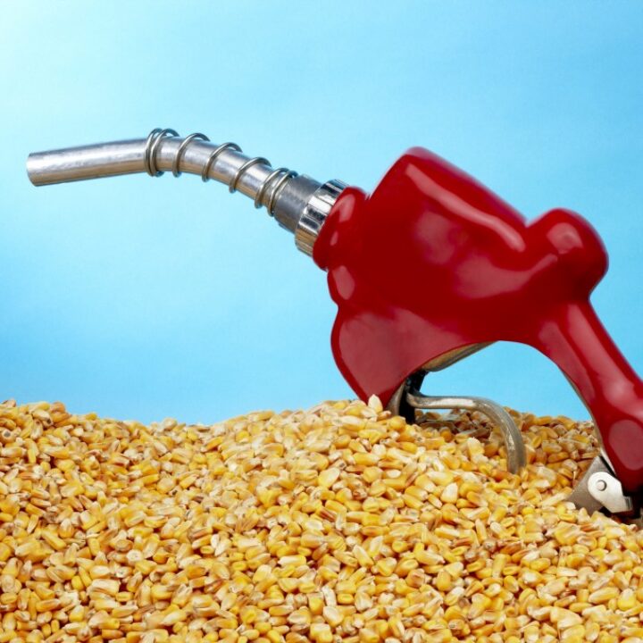 A red gas pump is on top of corn.